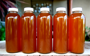 kombucha-1-x520